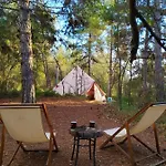Forest Days *