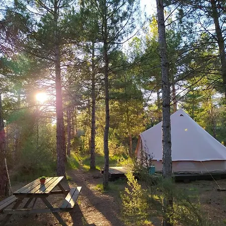 Forest Days Campo de lujo *