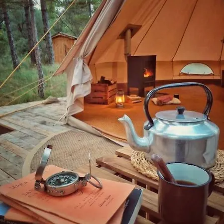 Forest Days *