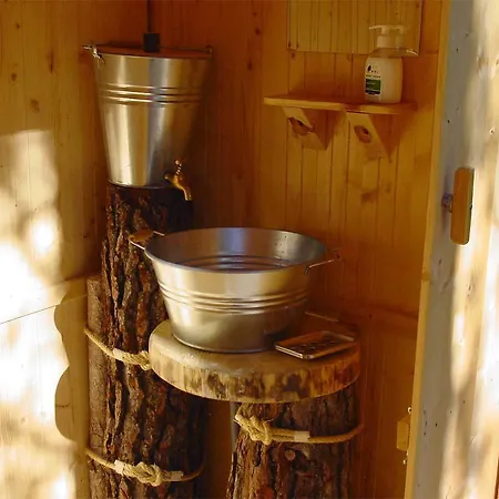 Campo de lujo Forest Days *