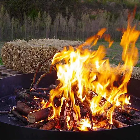 Forest Days * Navès