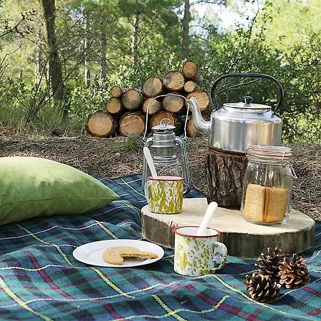 Campo de lujo Forest Days *