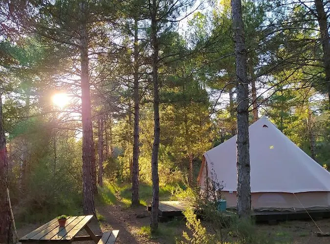 Forest Days Campo de lujo *