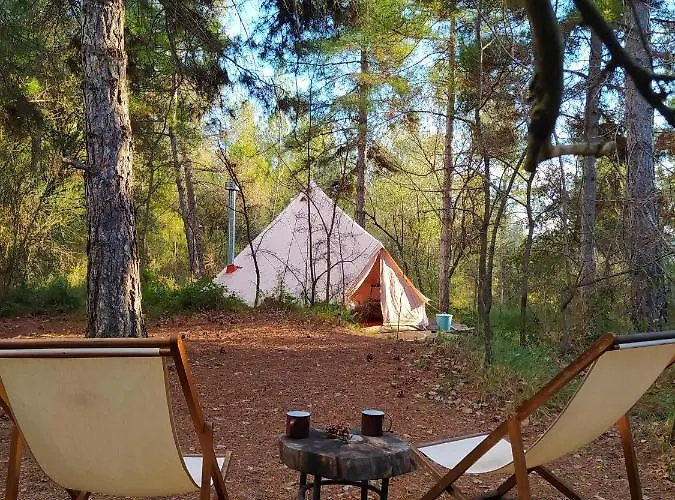 Forest Days *