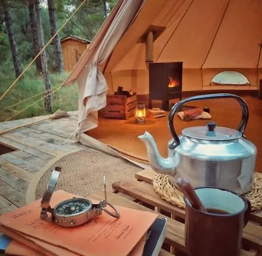 Forest Days *
