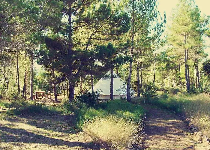 Luxury tent Forest Days *