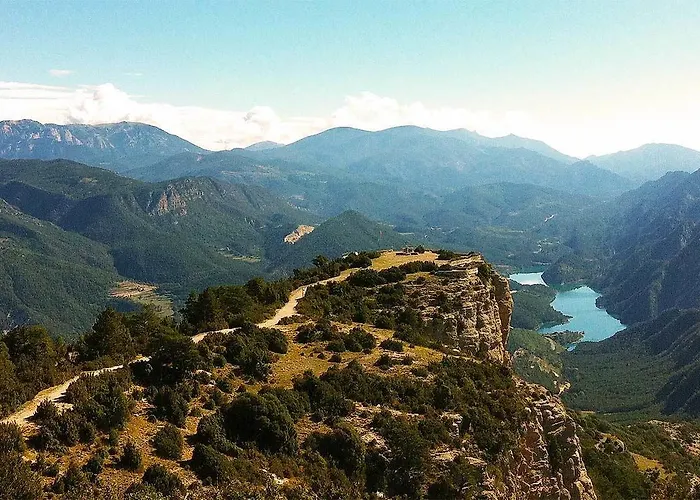 Forest Days * Naves (Catalonia)