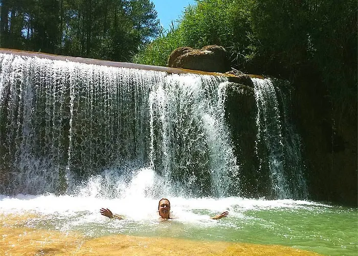 Forest Days * Naves (Catalonia)
