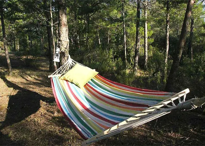 Forest Days * Naves (Catalonia)