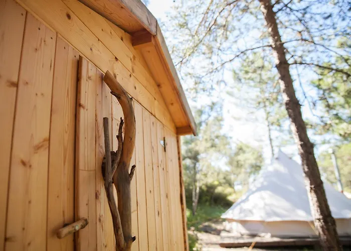 Forest Days * Naves (Catalonia)