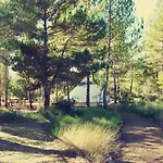 럭셔리텐트 Forest Days *