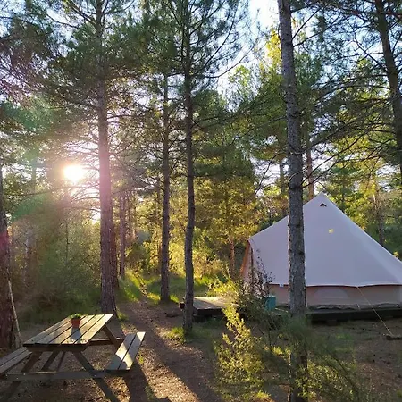 Forest Days Glamping *