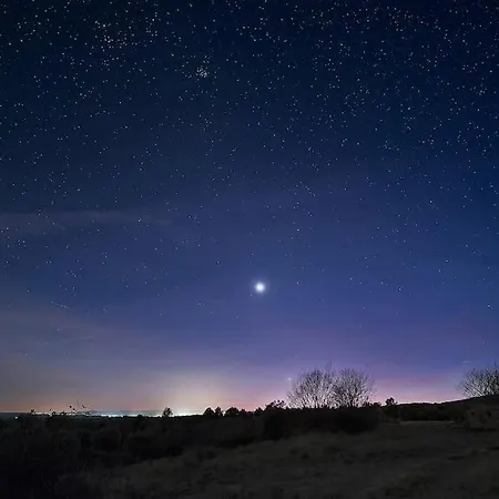 Forest Days Роскошный шатер *