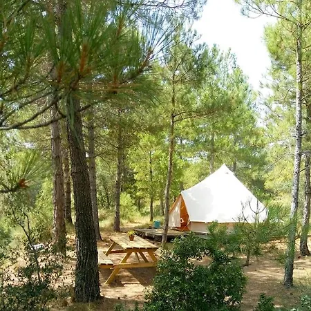 Luxury tent Forest Days