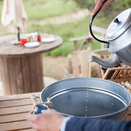 Forest Days * Naves (Catalonia)