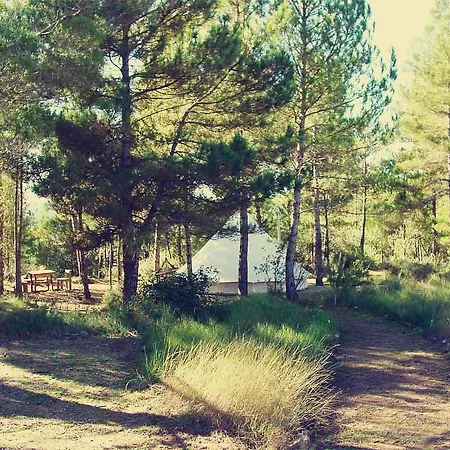 Luxury tent Forest Days *