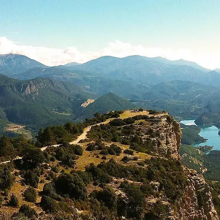 Forest Days * Naves (Catalonia)