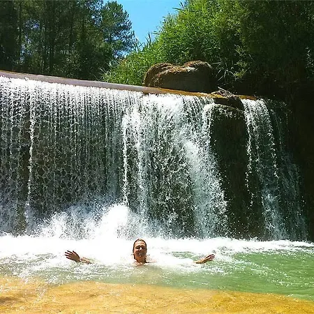 Forest Days * Naves (Catalonia)