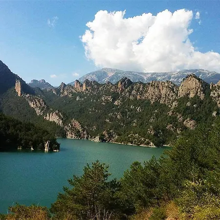 Forest Days * Naves (Catalonia)