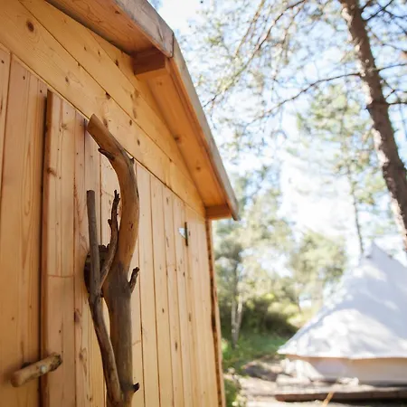 Forest Days * Naves (Catalonia)