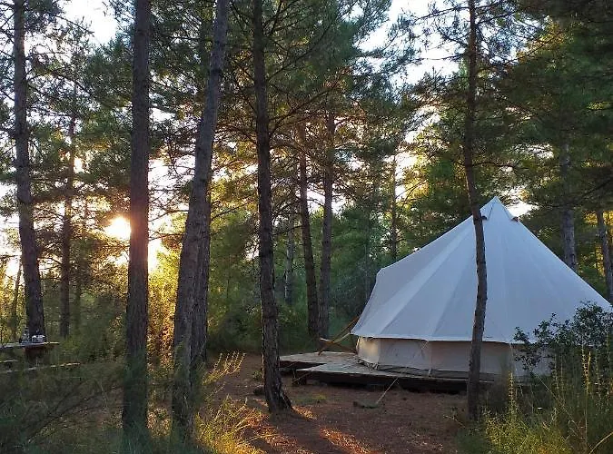 Forest Days